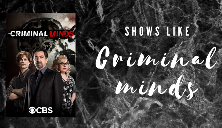 best shows like criminal minds