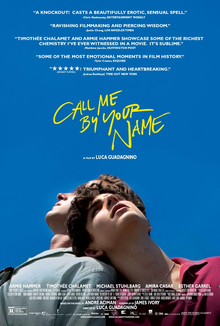 Call Me by Your Name: Romance Lovers Movie 