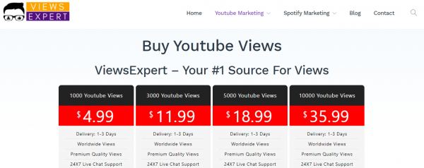 Purchase Real Subscribers For Your Youtube Channel Make Your Channel Go Viral Overnight We Offer Premium Quality Low P Love Photos Cool Photos Youtube Views