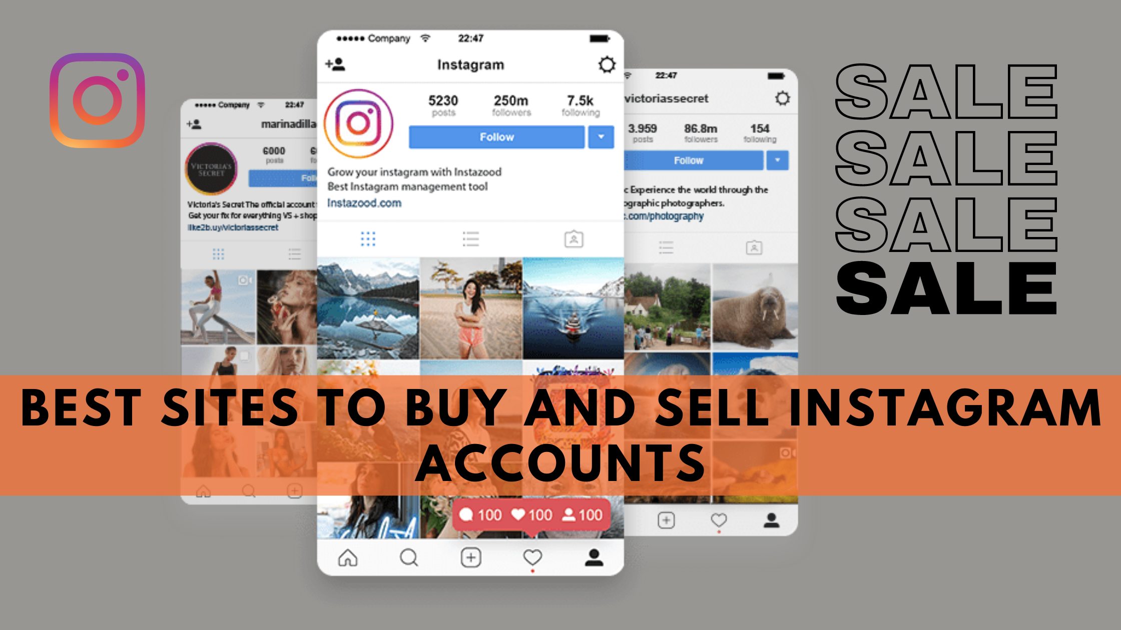 5 Best Sites To Buy And Sell Instagram Accounts 21