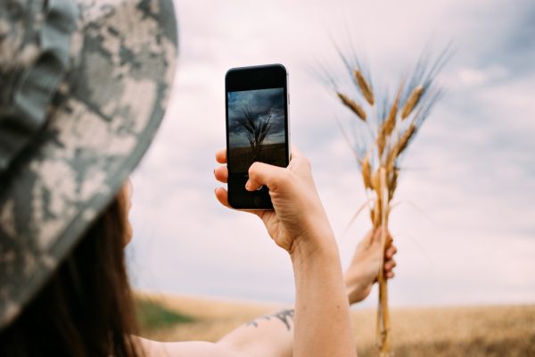 Female mobile photographer shoots wheat