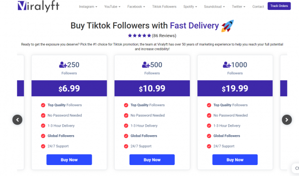 Viralyft Tiktok Followers