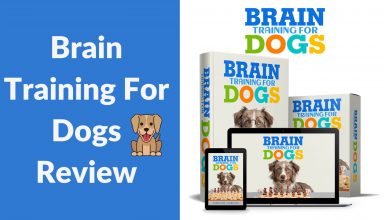 Brain Training For Dogs Review