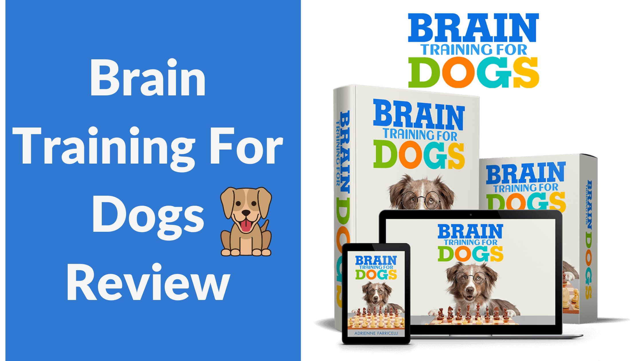 Brain Training For Dogs Review (2023): Is it a Best Option?