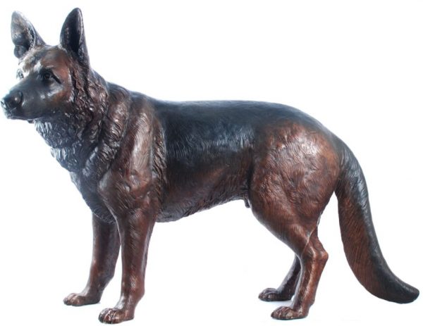 Bronze German Shepherd Dog