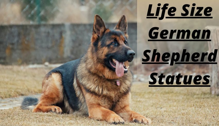 Life Size German Shepherd Statues