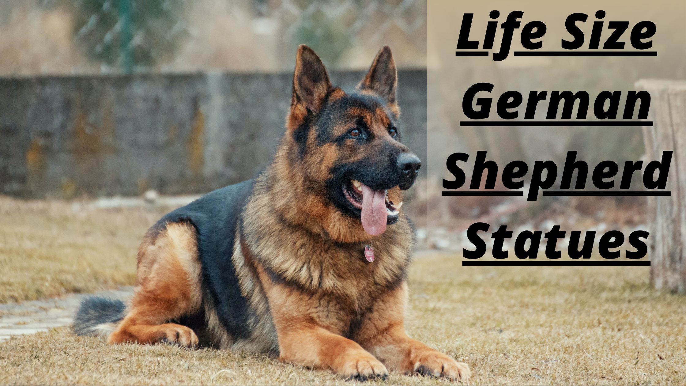 10 Best Life Size German Shepherd Statues to Buy in 2023 10 Best Life Size German Shepherd Statues to Buy in 2023