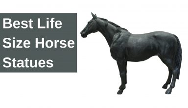 List of Best Horse Statues