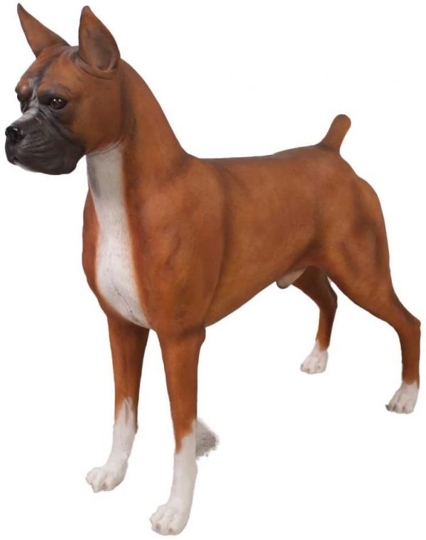 Boxer Brown Life-size statue