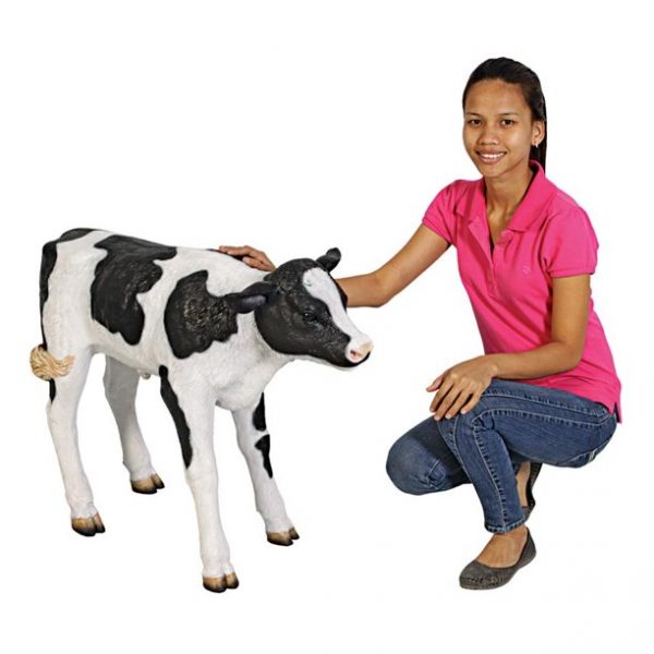 Design Toscano Buttercup, the Life-Size Holstein Calf Dairy Cow Statue