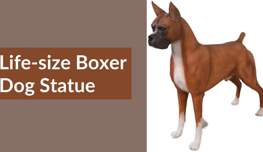 Life-size Boxer Dog Statue