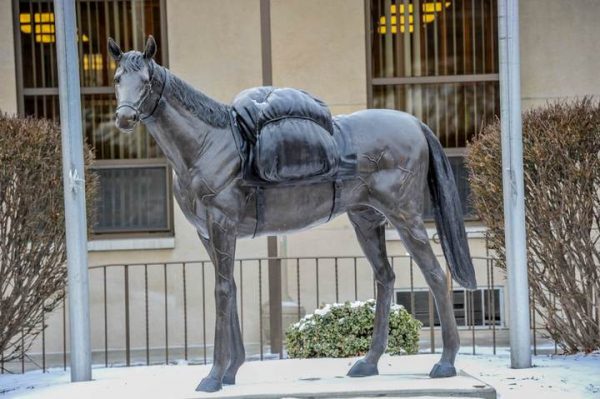 Military pack Horse with Saddle