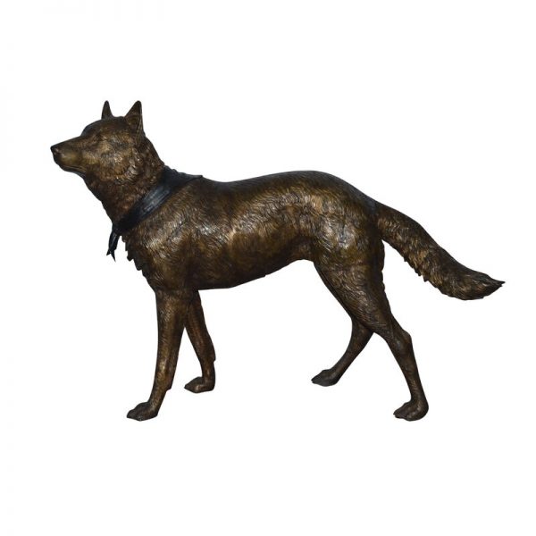 Wolf Standing Life Size Bronze Statue