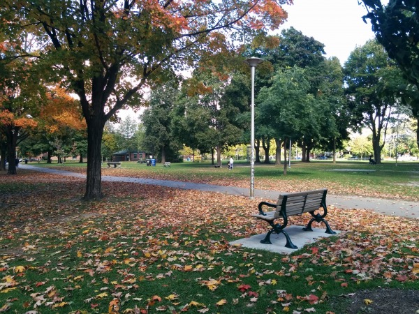 Dufferin Grove Park: Park In Toronto