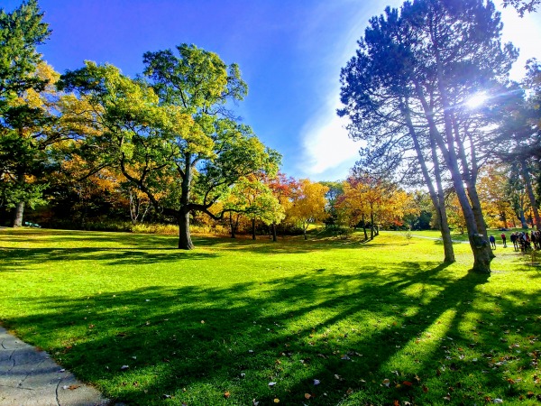 High Park: Park In Toronto