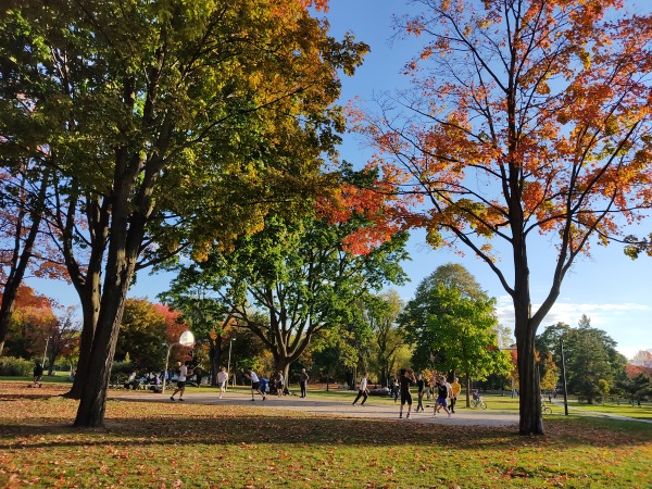 Withrow Park: Park In Toronto