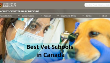 Vet Schools in Canada