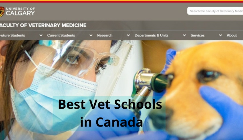 Vet Schools in Canada