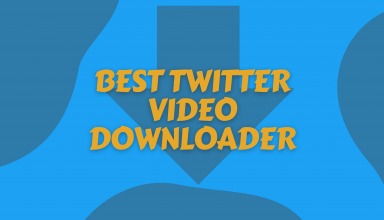 Best Twitter Video Downloader
