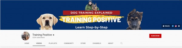 Tab Shamsi – Training Positive  youtube dog training