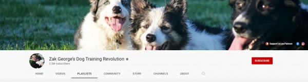 Hoopvol Aandringen kennisgeving 10 Best Dog Training YouTube Channels You Must See In 2023