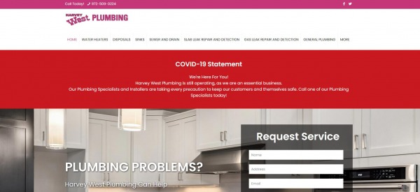 Harvey West Plumbing - plumber in plano