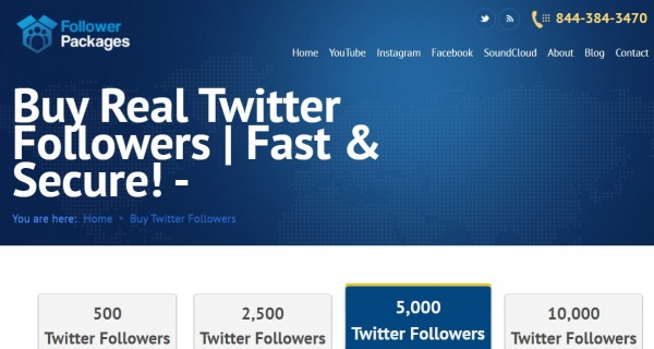 followerpackages twitter followers