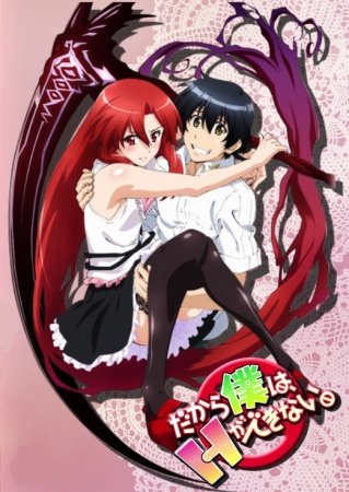 Dakara Boku Wa, H Ga Dekinai - shows like highschool dxd