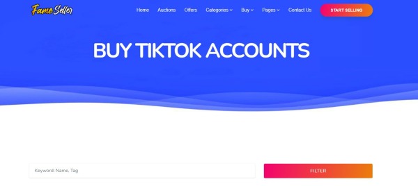 FameSeller -Buy TikTok Account