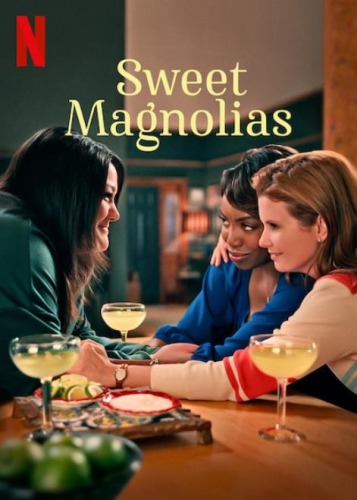 Sweet Magnolias - Shows Like Hart of Dixie