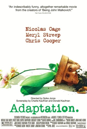 Adaptation 