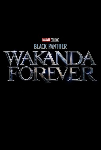 Black Panther  Wakanda Forever