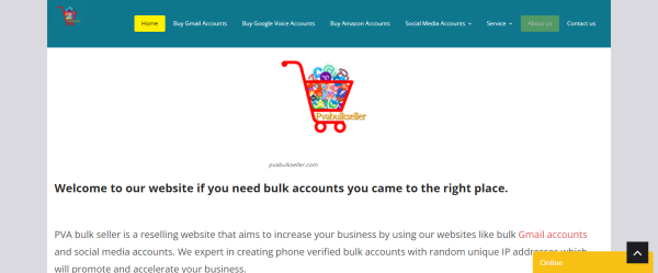 PVA Bulk Seller- Sites to Buy Gmail Accounts 