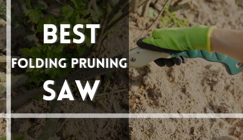 Best Folding Pruning Saw