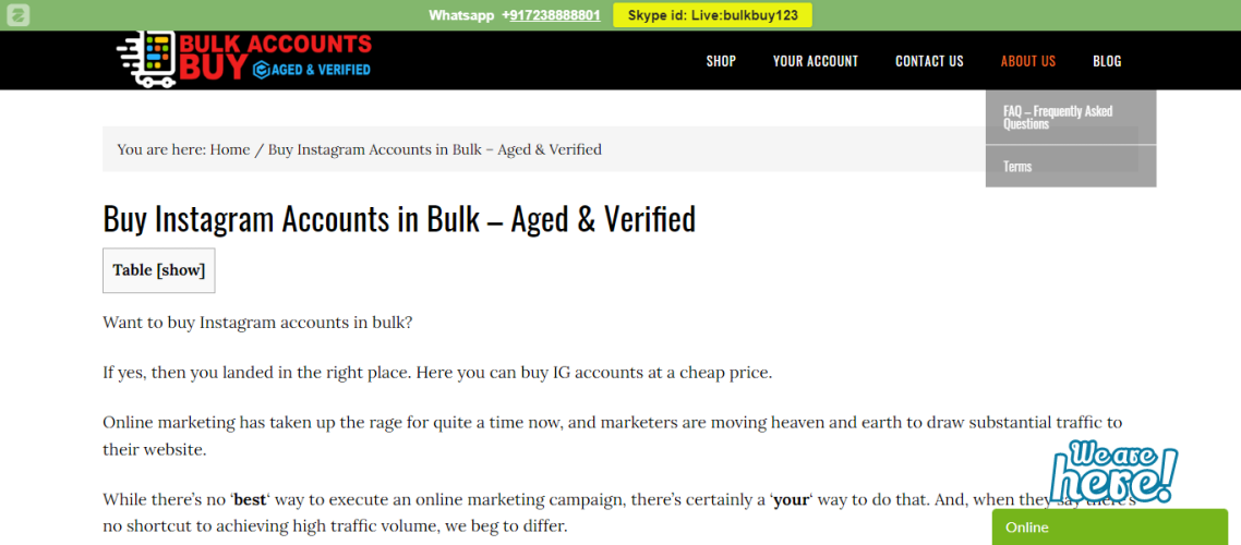 10 Best Places to Buy Instagram Accounts in 2024