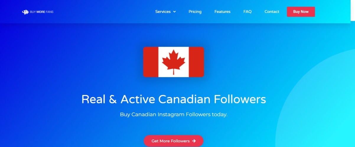Buy More Fans-Buy TikTok Followers in UK