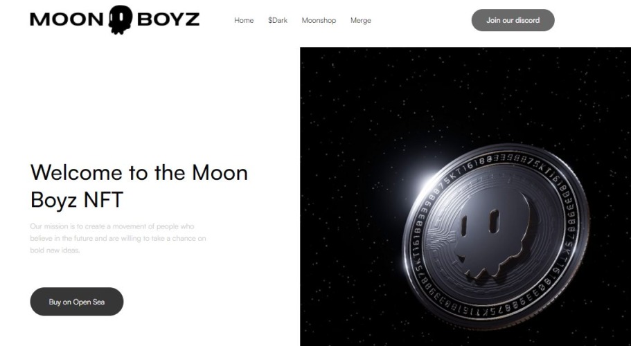 Moon Boyz - NFTs to Buy