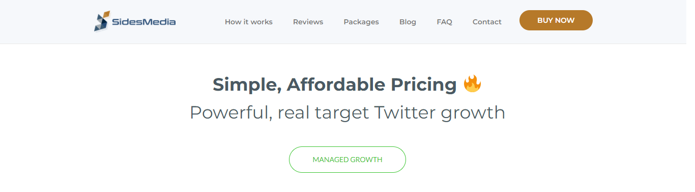 SidesMedia: Twitter Promotion Service