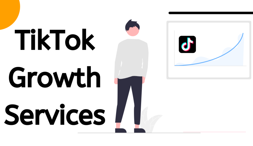 TikTok Growth Services