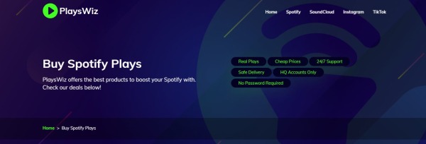 PlaysWiz - spotify bots