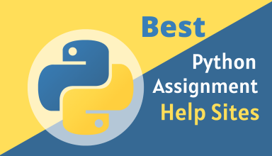 Best Python Assignment Help Sites