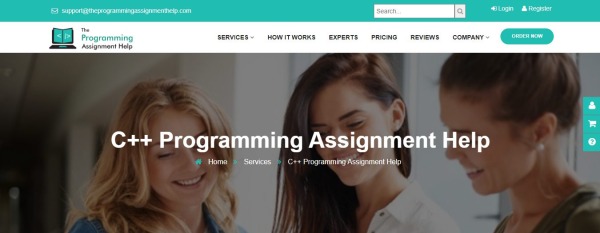The Programming Assignment Help