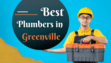 Best Plumbers in Greenville