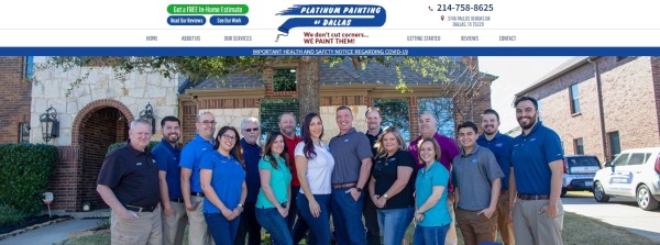 Platinum Painting - Painters Frisco