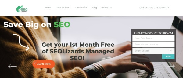 SEO Lizards