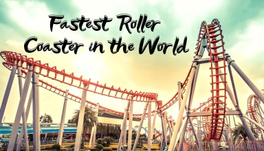 Fastest Roller Coaster in the World