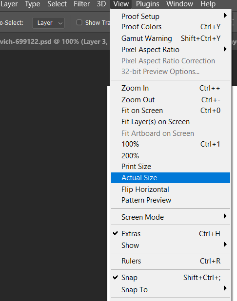 Actual Size in Photoshop