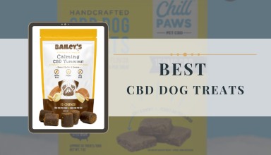 Best CBD Dog Treats