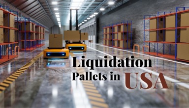 palces to buy Amazon liquidation pallelts in USA