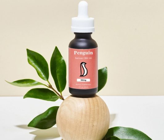 Penguin - best cbd oil for cats